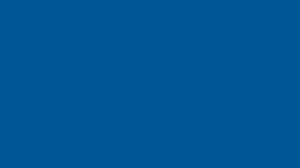 Trifactor Creative - Insurance Case Study NAENWAN