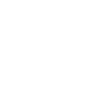 mic